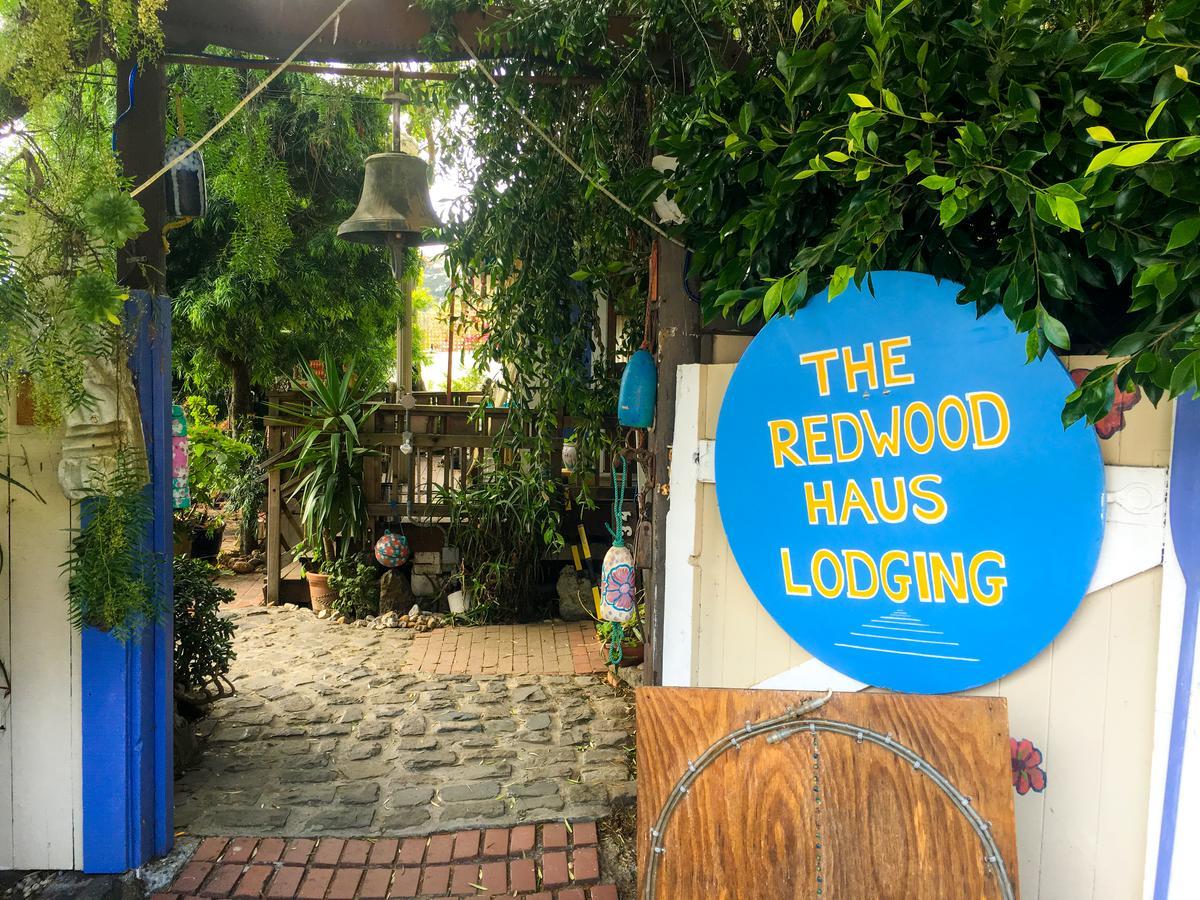 Stinson Beach Redwoods Haus Bed and Breakfast Esterno foto